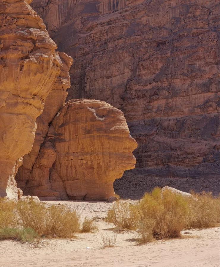 Hotel Amanda Luxury Camp Wadi Rum Zewnętrze zdjęcie
